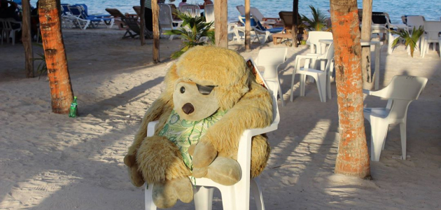 Jednooký opičák - uvítací výbor v Maha