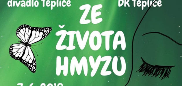 Ze života hmyzu plakát