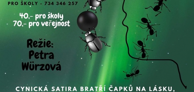 Ze života hmyzu plakát 2